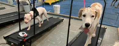 Business 5 image K9 KEEP FIT Water Heater Installation in San Jose CA