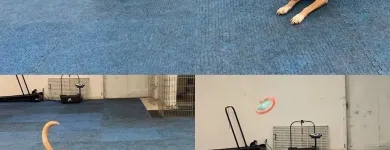 Business 10 image K9 KEEP FIT Water Heater Installation in San Jose CA