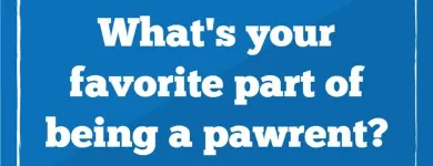 Business 20 image K9 KEEP FIT Water Heater Installation in San Jose CA