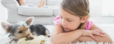 Business 4 image KINGWOOD GUTTER CLEANING & REPAIRS Gutter Cleaning Service in Houston TX