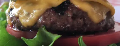 Business 2 image KIRKS STEAKBURGERS in Campbell CA