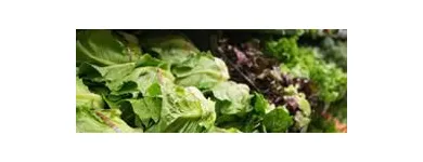 Business 3 image KROGER in Mcdonough GA