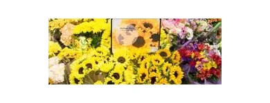 Business 6 image KROGER in Mcdonough GA