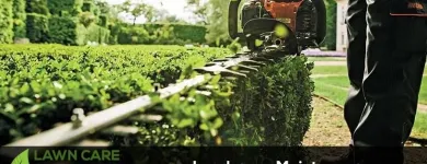 Business 1 image LAWN CARE SOLUTIONS - DALLAS Landscape Contractors in Dallas TX