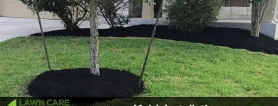 Business 2 image LAWN CARE SOLUTIONS - DALLAS Landscape Contractors in Dallas TX