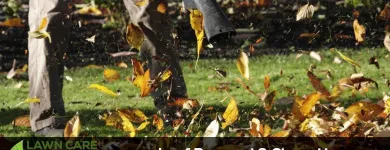 Business 3 image LAWN CARE SOLUTIONS - DALLAS Landscape Contractors in Dallas TX