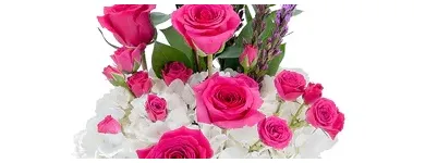 Business 1 image LE ROY'S FLOWERS Artificial Flowers Plants Trees in Hatboro PA