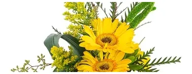 Business 2 image LE ROY'S FLOWERS Artificial Flowers Plants Trees in Hatboro PA