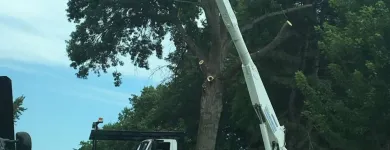 Business 3 image LEE'S GENERAL CONTRACTING Tree Care Company in Kansas City MO