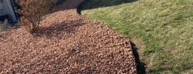 Business 4 image LEE'S GENERAL CONTRACTING Tree Care Company in Kansas City MO