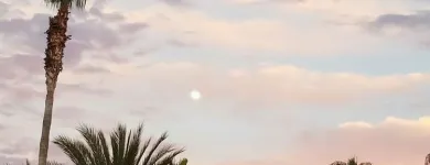 Business 3 image LEMONADE in Irvine CA