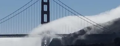 Business 6 image LEVEL343 - INTERNATIONAL MARKETING & SEO COMPANY Internet Marketing Service in San Francisco CA