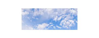 Business 2 image LEWIS & TAYLOR BUILDING SERVICE CONTRACTORS Janitorial Service in San Francisco CA