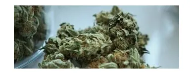 Business 4 image LIFE STYLE DISPENSARY Cannabis Flower in Broken Arrow OK