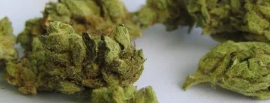 Business 5 image LIFE STYLE DISPENSARY Cannabis Flower in Broken Arrow OK