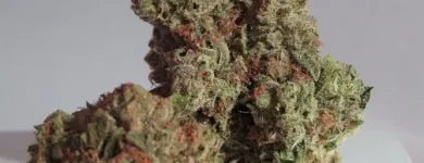 Business 7 image LIFE STYLE DISPENSARY Cannabis Flower in Broken Arrow OK