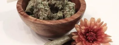 Business 13 image LIFE STYLE DISPENSARY Cannabis Flower in Broken Arrow OK