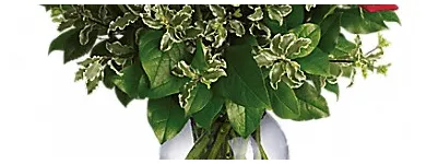 Business 2 image LOCKER'S FLORIST & FLOWER DELIVERY in West Allis WI