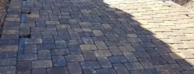 Business 10 image LOZOYA SERVICES LLC Tree Trimming Service in Las Vegas NV