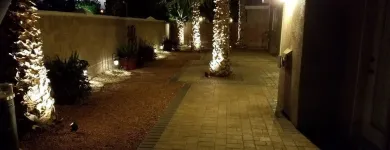 Business 17 image LOZOYA SERVICES LLC Tree Trimming Service in Las Vegas NV