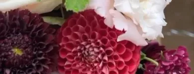 Business 2 image LUCY'S FLOWERS Florists in Brooklyn NY