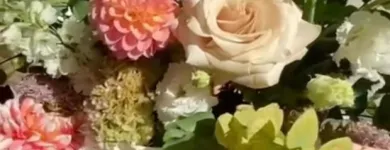 Business 3 image LUCY'S FLOWERS Florists in Brooklyn NY