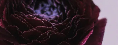 Business 4 image LUCY'S FLOWERS Florists in Brooklyn NY