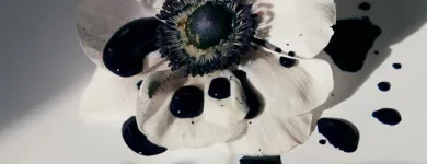 Business 6 image LUCY'S FLOWERS Florists in Brooklyn NY