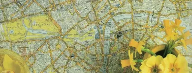 Business 7 image LUCY'S FLOWERS Florists in Brooklyn NY