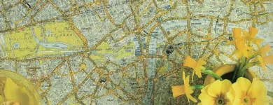 Business 8 image LUCY'S FLOWERS Florists in Brooklyn NY