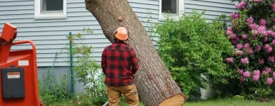 Business 2 image MAHONEY PROFESSIONAL SERVICES yard cleanup in Brandon FL