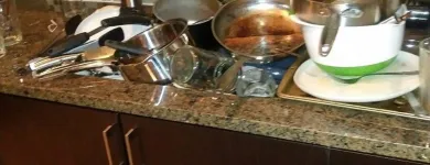 Business 1 image MAIDS 2 MATCH PLANO House Cleaning in Plano TX
