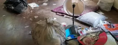 Business 4 image MAIDS 2 MATCH PLANO House Cleaning in Plano TX