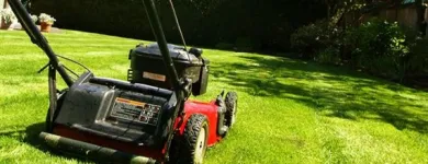 Business 2 image MARC'S LAWN CARE SERVICE & LANDSCAPING Landscaping & Lawn Services in Bronx NY