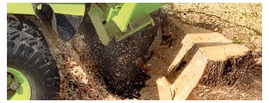 Business 1 image MARC'S LAWN CARE SERVICE & LANDSCAPING Landscaping & Lawn Services in Bronx NY