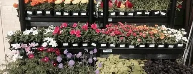 Business 10 image MARK'S ACE HARDWARE Plumbing in Tucson AZ