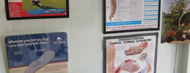 Business 5 image MARLOW LEHRMAN DENISE DR. DC, CDE, QME Rehabilitation Services in Oakland CA