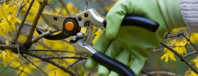 Business 3 image MCI TREES AND JUNK REMOVAL Tree Service in Indianapolis IN