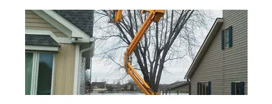 Business 10 image MENCHHOFER TREE CARE Tree Service in Indianapolis IN