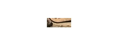 Business 4 image MENDEZ CONSTRUCTION Construction Estimates in San Diego CA