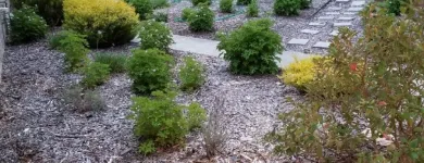 Business 2 image MENDOZA’S LANDSCAPING in San Jose CA