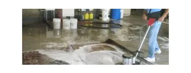Business 4 image MERRY RUG & CARPET CLEANERS Upholstery Cleaners in West Palm Beach FL