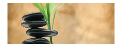Business 1 image METROPLEX THERAPEUTIC MASSAGE Craniosacral Massage in Fort Worth TX