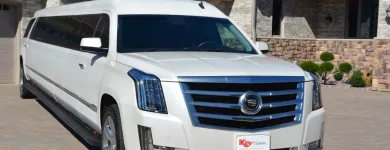 Business 1 image MIK LIMO Party Bus Rental in Eagan MN