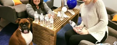 Business 8 image MOJO CREATIVE DIGITAL Web Design & Development in Baltimore MD