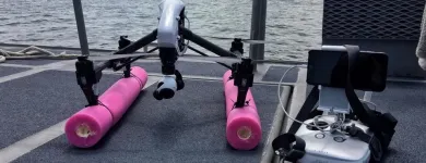 Business 12 image MOJO CREATIVE DIGITAL Web Design & Development in Baltimore MD