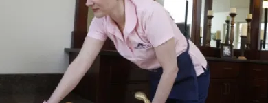 Business 5 image MOLLY MAID OF RENTON, MAPLE VALLEY, AND DES MOINES Maids in Kent WA