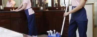 Business 2 image MOLLY MAID OF RENTON, MAPLE VALLEY, AND DES MOINES Maids in Kent WA