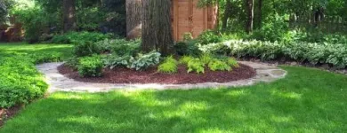 Business 1 image MOORE'S LAWN MAINTENANCE Lawn Care Services in Lombard IL