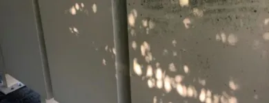 Business 2 image MR.FIXTHAT - HANDYMAN SERVICES Painting Contractors in Renton WA